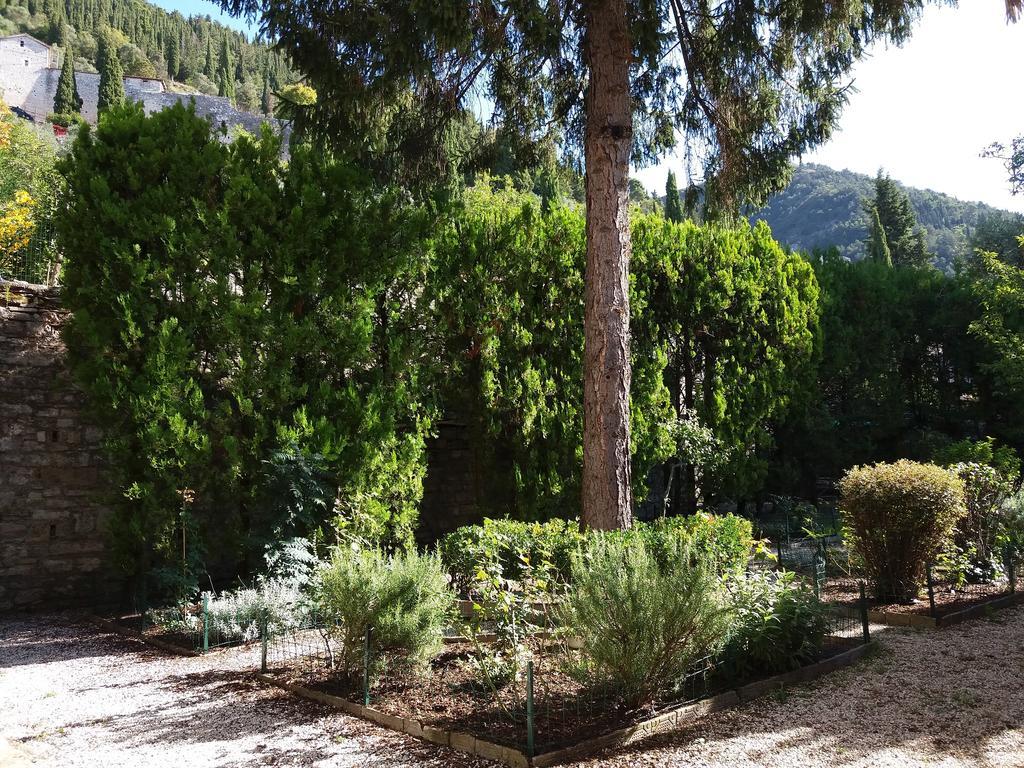 Vescovado 7 Daire Gubbio Dış mekan fotoğraf